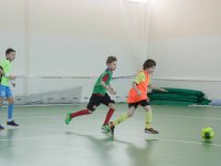 IMG_5534